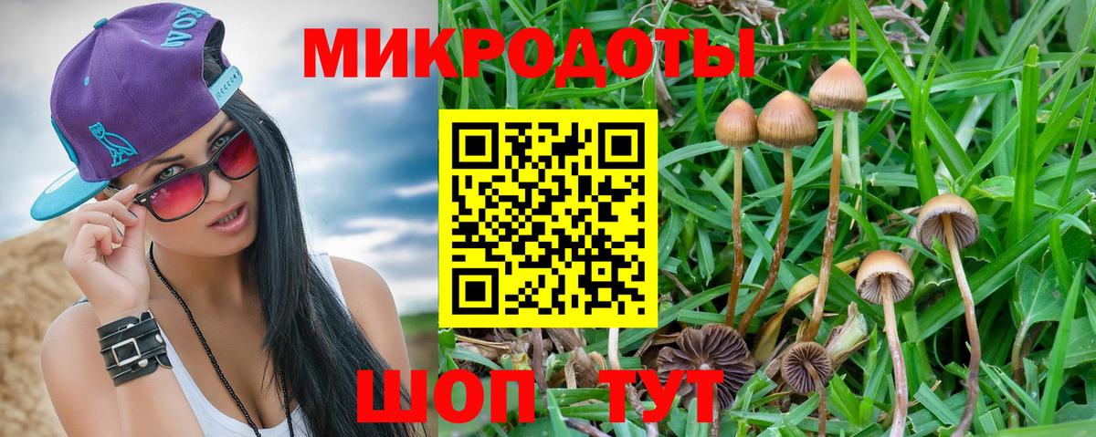 Псилоцибиновые грибы Magic Shrooms  Псилоцибиновые грибы мухоморы  Вход с VPN  Балашиха 